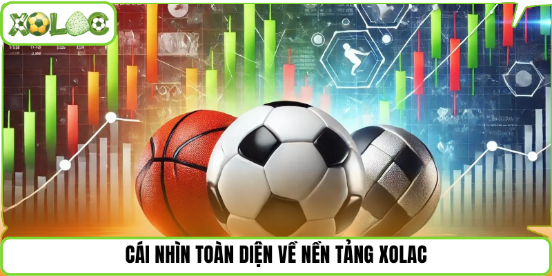 Cái nhìn toàn diện về nền tảng Xolac