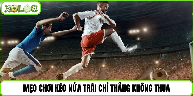 Mẹo chơi kèo nửa trái chỉ thắng không thua