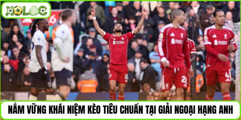 Nắm vững khái niệm kèo tiêu chuẩn tại giải Ngoại Hạng Anh